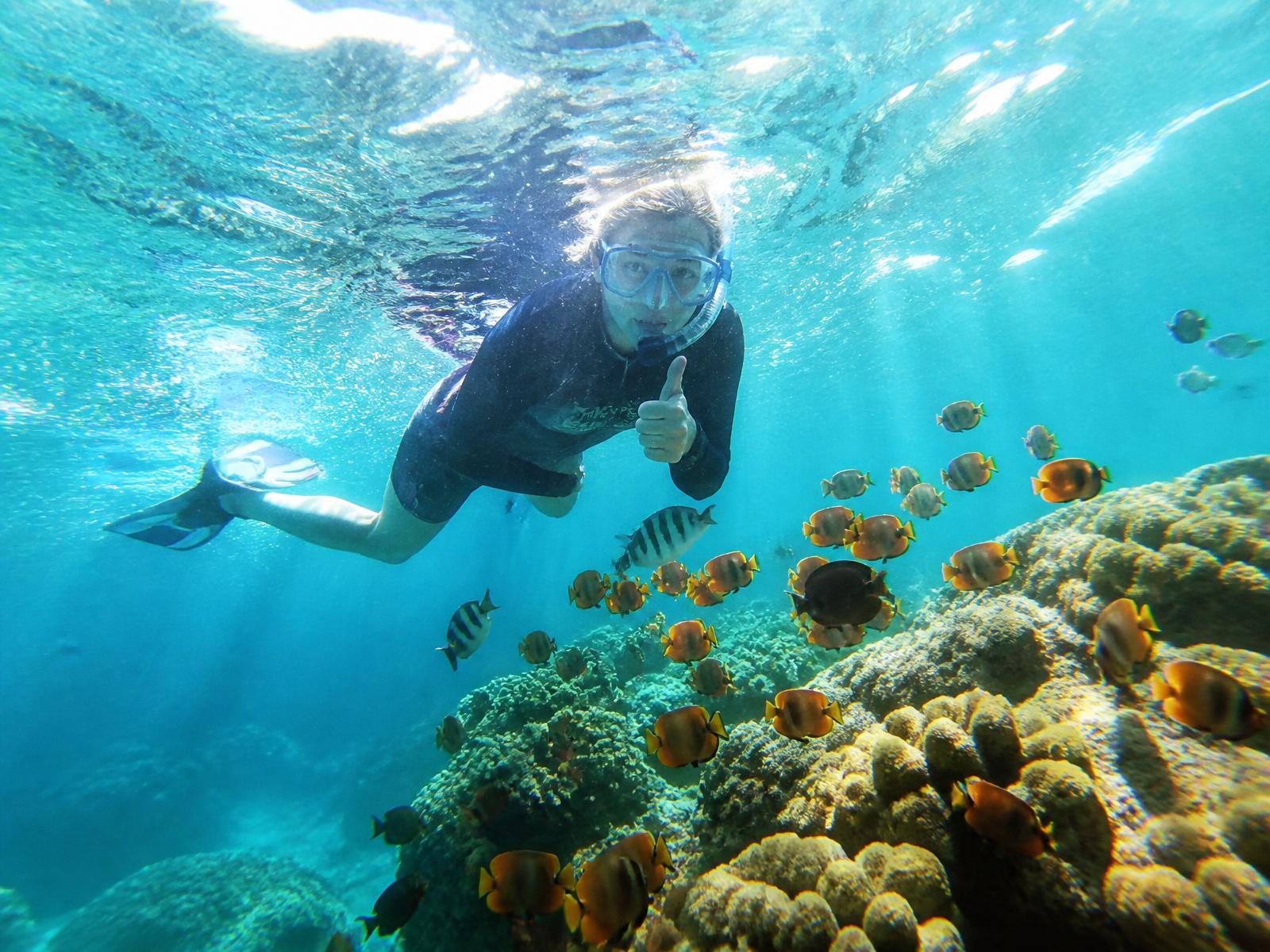 Snorkel sobre el arrecife rocoso